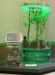 植物工廠的智慧之眼 探秘愛知博覽會(huì)與麗水農(nóng)科所的智能監(jiān)控系統(tǒng)